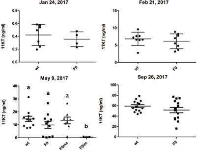 The Piwil1 N domain is required for germ cell survival in Atlantic salmon